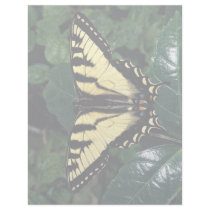Zebra swallowtail, Ontario, Canada Customized Letterhead