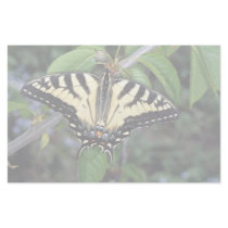 Zebra swallowtail, Ontario, Canada Stationery