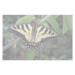 Zebra swallowtail, Ontario, Canada Stationery