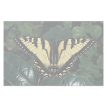 Zebra swallowtail, Ontario, Canada Personalized Stationery