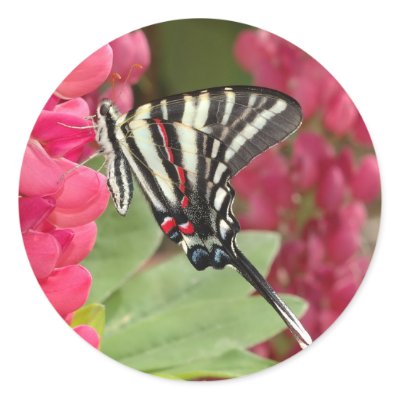 zebra swallowtail sticker by butterflypixie