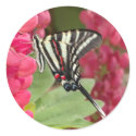 zebra swallowtail stickers by butterflypixie zebra swallowtail stickers