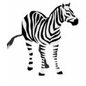 ZEBRA T SHIRT