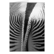 Zebra Tail cards