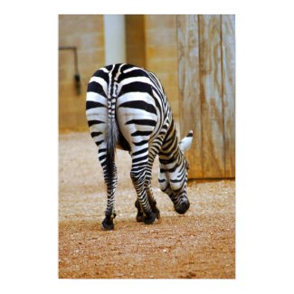 Zebra Tail print