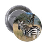Zebra Tail Swish Button