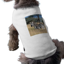 Zebra Tail Swish Doggie Tee Shirt