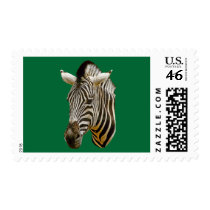 Zebra US Postage Stamps