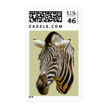 Zebra US Stamps stamps