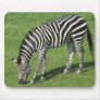 Zebra usepad