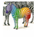 Zebra V-Neck t-shirts