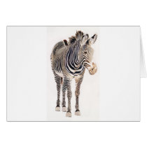 "Zebra" Watercolor Wildlife Art cards