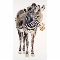 "Zebra" Watercolor Wildlife Art photo sculptures by PaulJacksonart "Zebra" Watercolor Wildlife Art photo sculptures