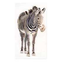 "Zebra" Watercolor Wildlife Art Print & Poster