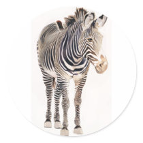 "Zebra" Watercolor Wildlife Art stickers by PaulJacksonart "Zebra" Watercolor Wildlife Art stickers