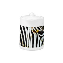 Zebra with black and white stripes in Africa