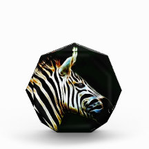 Zebra with black and white stripes in Africa Acrylic Award