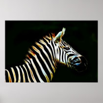 Zebra with black and white stripes in Africa Posters