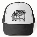Zebra with Zebraschatten