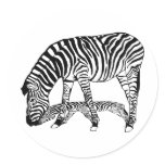 Zebra with Zebraschatten Stickers