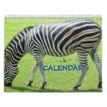 zebra, zebra, CALENDAR