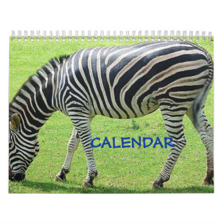 Zebra Calendars | Zazzle