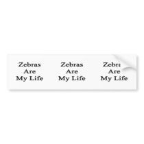 Zebras Are My Life Bumper Sticker