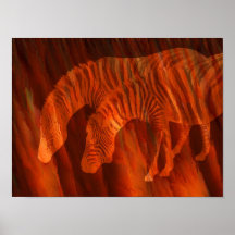 Zebras Art Mural Poster