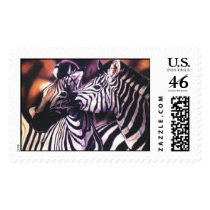 "Zebras at Sunset" postage by paintonmypaws "Zebras at Sunset" postage