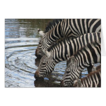 Zebras at Water - Customized cards