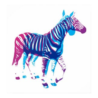 Zebras - Blue & Purple print