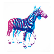 Zebras - Blue & Purple posters by noxdesign Zebras - Blue & Purple posters