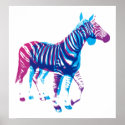 Zebras - Blue & Purple posters