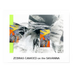 ZEBRAS CAMOED on the SAVANNA by CR SINCLAIR posters