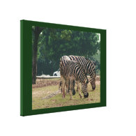 Zebras Canvas Print