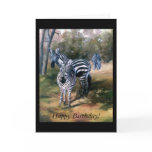 Zebras Cards
