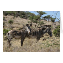 Zebras cards