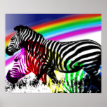 Zebras ' dream comes true  posters