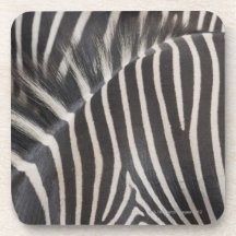 Zebras Drink Coasters