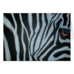 Zebras Eye Greeting Cards