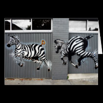 Zebras graffiti cards
