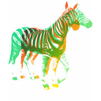Zebras - Green & Orange t-shirts