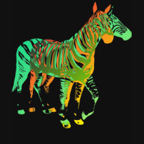 Zebras - Green & Orange t-shirts