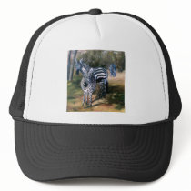Zebras hat