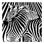 Zebras Hugging Poster for Binary Options Trading