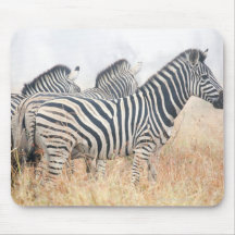 Zebras in early morning dust, Kruger National 2 Mouse Pads