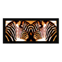 Zebras in love  posters