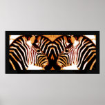 Zebras in love  posters