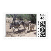 Zebras in the Wild postage by nickyzzz Zebras in the Wild postage