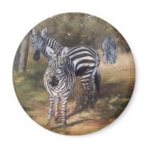 Zebras magnets by bmthour Zebras magnets